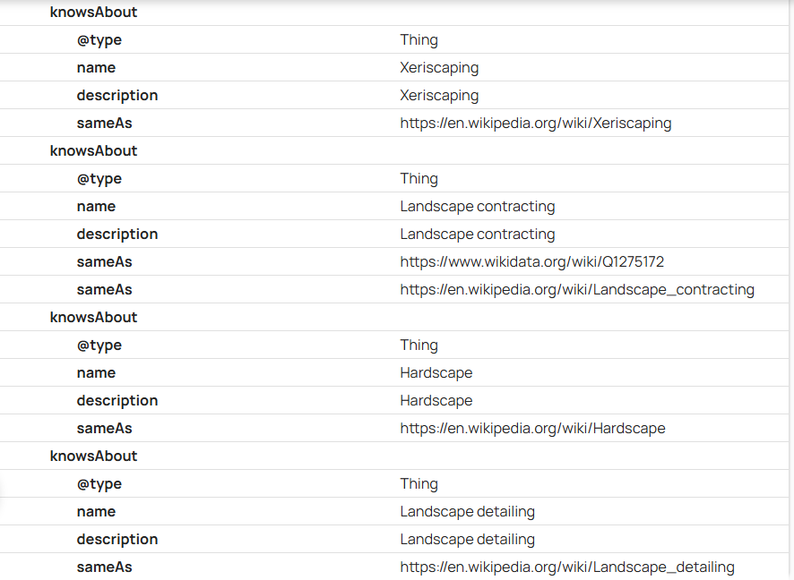 website audit & schema